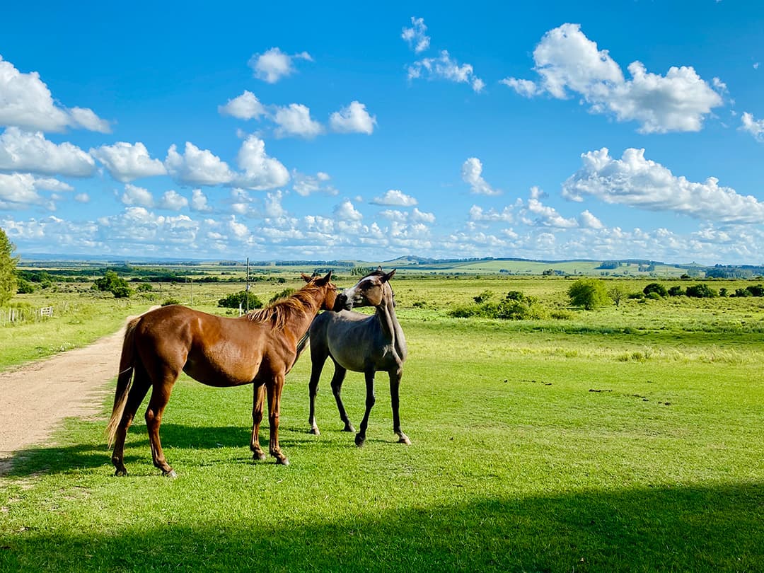 Schone lucht, gezonde omgeving